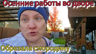 видео: Готовлю к зиме огород. Новые шторы. картинка: Готовлю к зиме огород. Новые шторы.