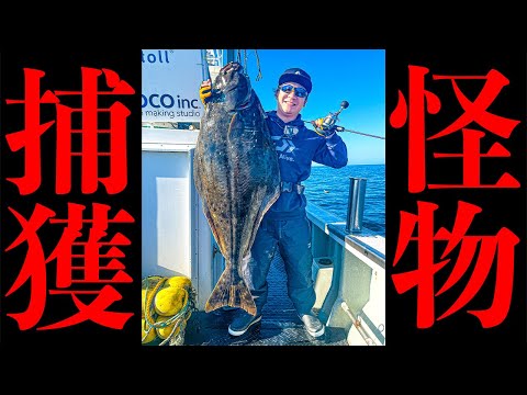 ①/2週刊　日本の魚釣り　まとめ売り　大量　アシェット ①/2週刊 日本の魚釣り まとめ売り 大量 アシェット