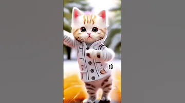 مهاب يا قمر اغنيه باسم مهاب 