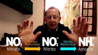 E learning Nitrógeno