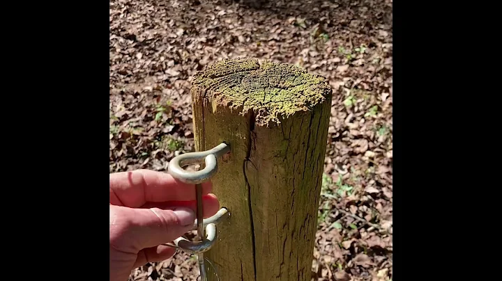 NEW Hog Trap and Trigger Design