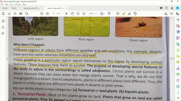 class 4 science ch 8 Adaptation  How do plants survive part 1   adaptation
