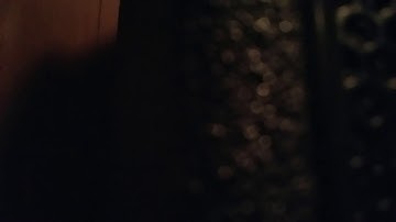 AX8 Badger 18 reverb tremolo XiTone