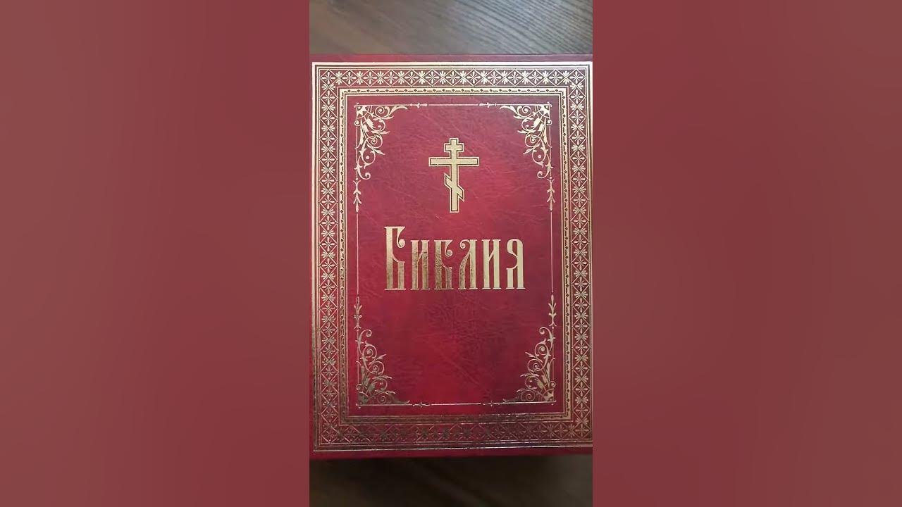 Благозвонница интернет-магазин книги. Крупный шрифт. Сибирская благозвонница москва. Магазин благозвонница. Магазин сибирская благозвонница новосибирск.