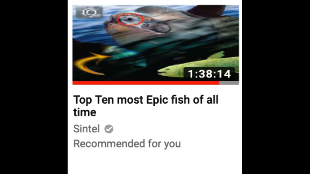 Watch Sintel - Manta Ray on YouTube Watch Sintel - Manta Ray on YouTube