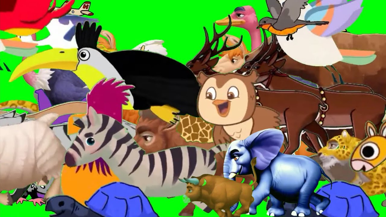 Green screen animals video | Animals zoo video | Animals stampede video | Stampede green screen 4k