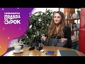 Что в сумке Анны Ризатдиновой? – Невероятная правда о звездах