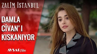 Damlanın Kıskançlığı - Zalim İstanbul 8 Bölüm