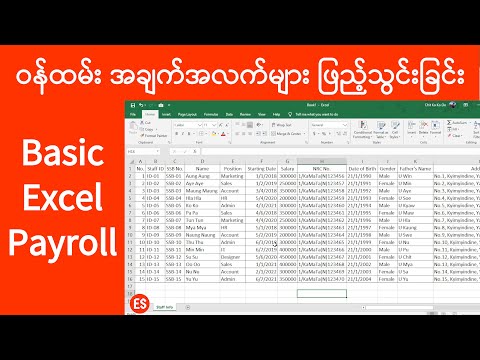 Excel Payroll Staff