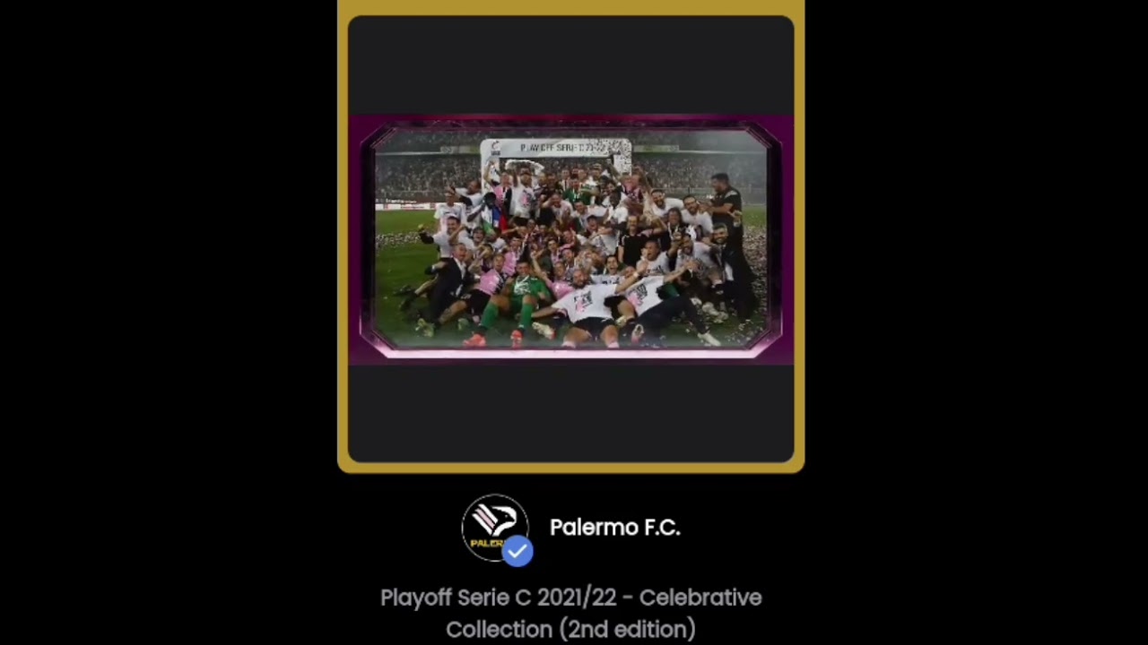 Promozione in B, Palermo FC, #bastavacrederci