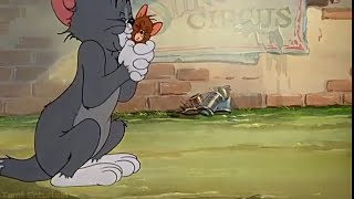 Friendship of Tom and Jerry status | En nanbana Pola song  | Tamil Entertain|