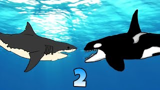 Great White Shark VS Killer Whale 2 (Animation)