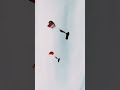 Wingsuits + Tiny Parachutes doing some neat stuff