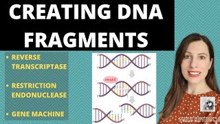 PRODUCING DNA FRAGMENTS- Methods to produce DNA fragments for A-level recombinant DNA technology