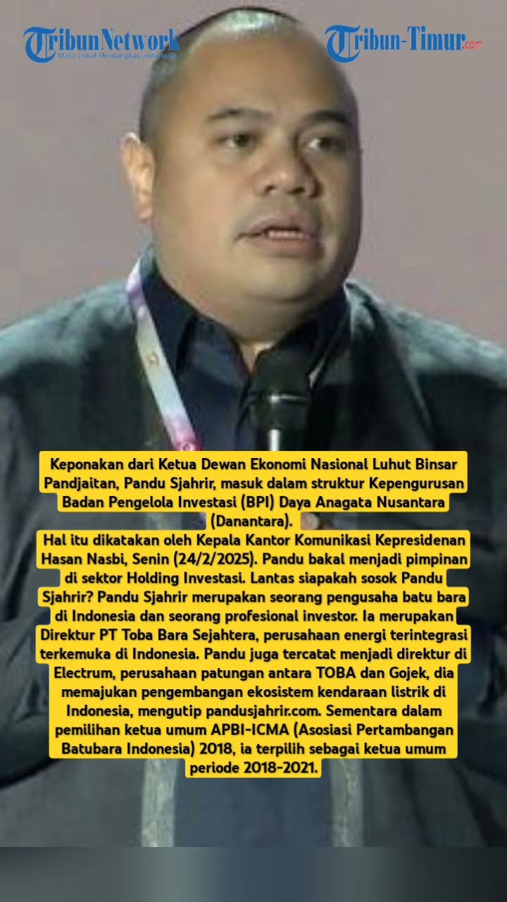 Profil Pandu Sjahrir, Keponakan Jenderal Luhut Jadi Petinggi Danantara, Bagian Holding Investasi