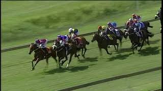 Vidéo de la course PMU PRIX TRACK & BALL GAMING FM 85 HANDICAP