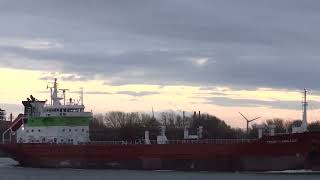 Tour Margaux (Valleta) - IMO: 9034731 [shipspotting] - 2015-11-07