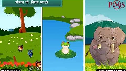 NCERT|CBSE Class 3-EVS|Weather|Animation in English|easy and fun