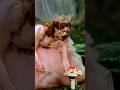 Glinda!! 🪄🍄 #darkfantasy #thewizardofoz #glinda #dorathy #shorts