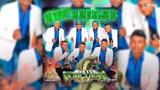 Video thumbnail of "Mister Corcuera - Te Gusta El Ta (En Vivo)"