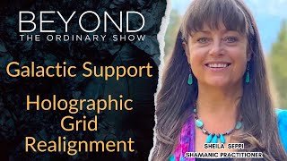 Galactic Support: Holographic Grid Realignment