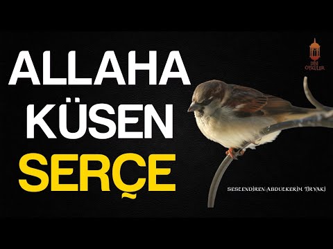 ALLAH'A KÜSEN SERÇE (İbretlik Muhteşem Öykü) - Dini Hikayeler