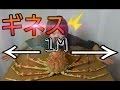 世界一巨大なカニを捌いて豪快に食す！【MonsterCrab】 【タカアシガニ】