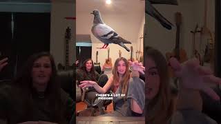 making of Vultures by Neoni #neoni #shorts