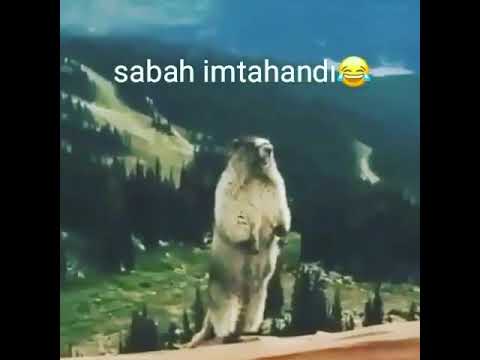 Sabah imtahandi