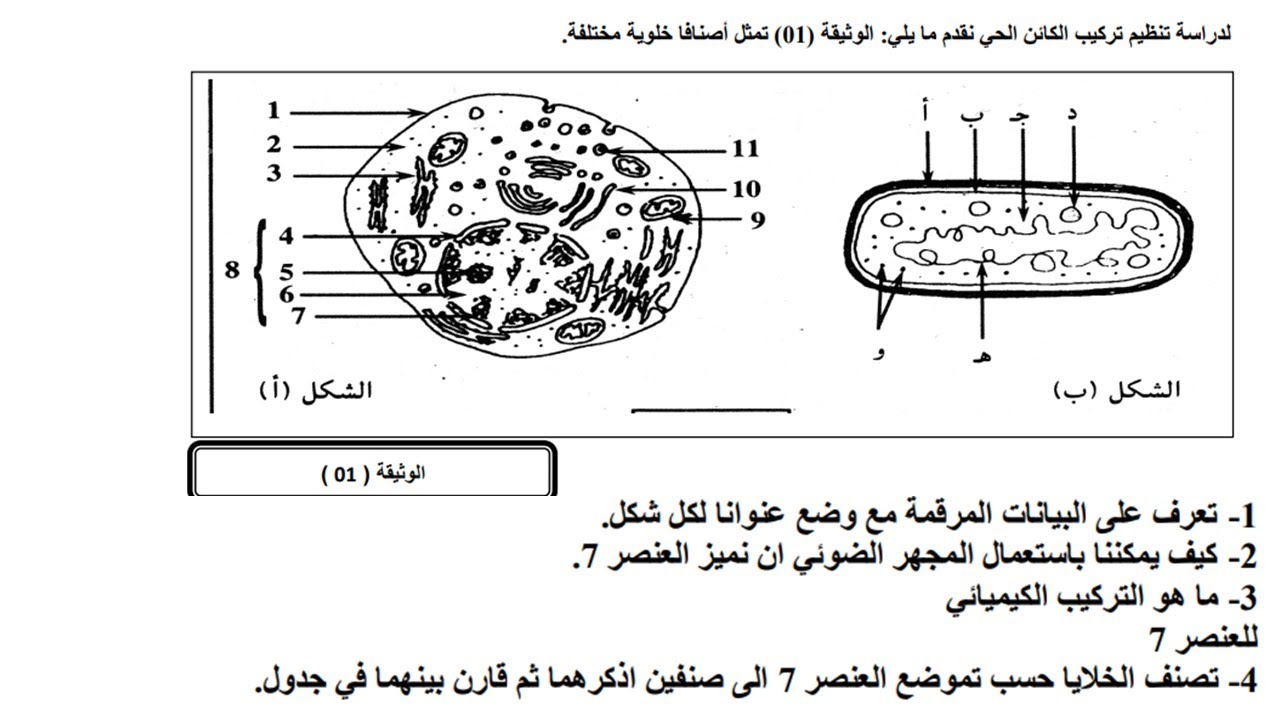 اختبار حول الخلية للسنة الثانية ثانوي