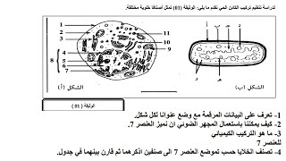 اختبار حول الخلية للسنة الثانية ثانوي