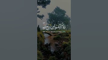 سورة يوسف مشاري فالح