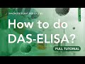 How To Do A DAS ELISA To Detect Plant Pathogens Full Tutorial 