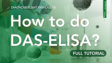 How to do a DAS-ELISA to detect plant pathogens? (Full Tutorial)