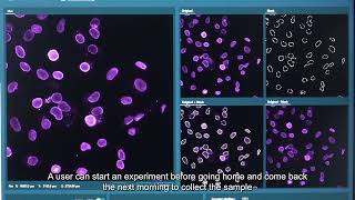 Syncell Microscoop Demo - Nuclear membrane proteomic discovery