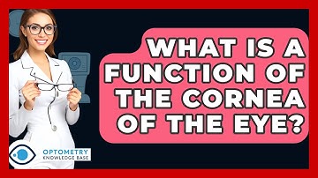 What Is A Function Of The Cornea Of The Eye? - Optometry Knowledge Base