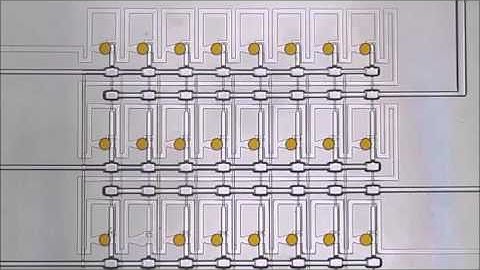 On-chip analysis, indexing and screening for chemical producing bacteria in microfluidic static...