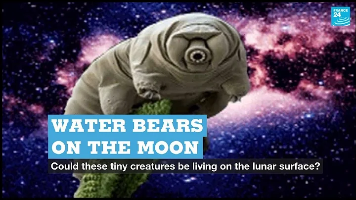 Water bears on the Moon?