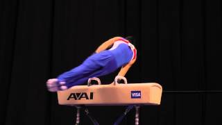 Sean Melton -- Pommel Horse -- 2012 Visa Championships -- Jr. Men -- Day 2