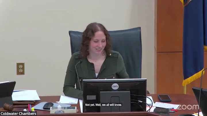 Downtown Development Authority (DDA) 5/28/2025