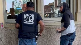 The Nypd Kidnapping Squad