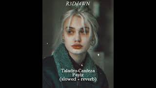 Taladro-Canfeza Payiz (slowed + reverb) Resimi