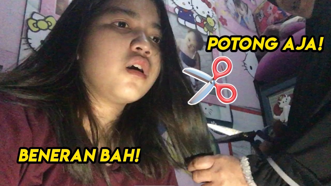 Cat Rambut Malah Mau di Botakin Emak?!