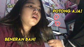 Cat Rambut Malah Mau di Botakin Emak?!