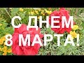 С днем 8 марта!