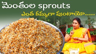 మెంతులు Sprouts|Fenugreek Sprouts Health Benefits |Good for Weight loss, Diabetes, Feeding mothers