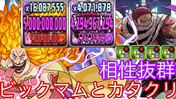 ビックマムカタクリパズドラ