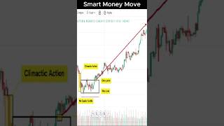 Catch the Smart Money Move (500+ Pips)  #vsa  #shorts