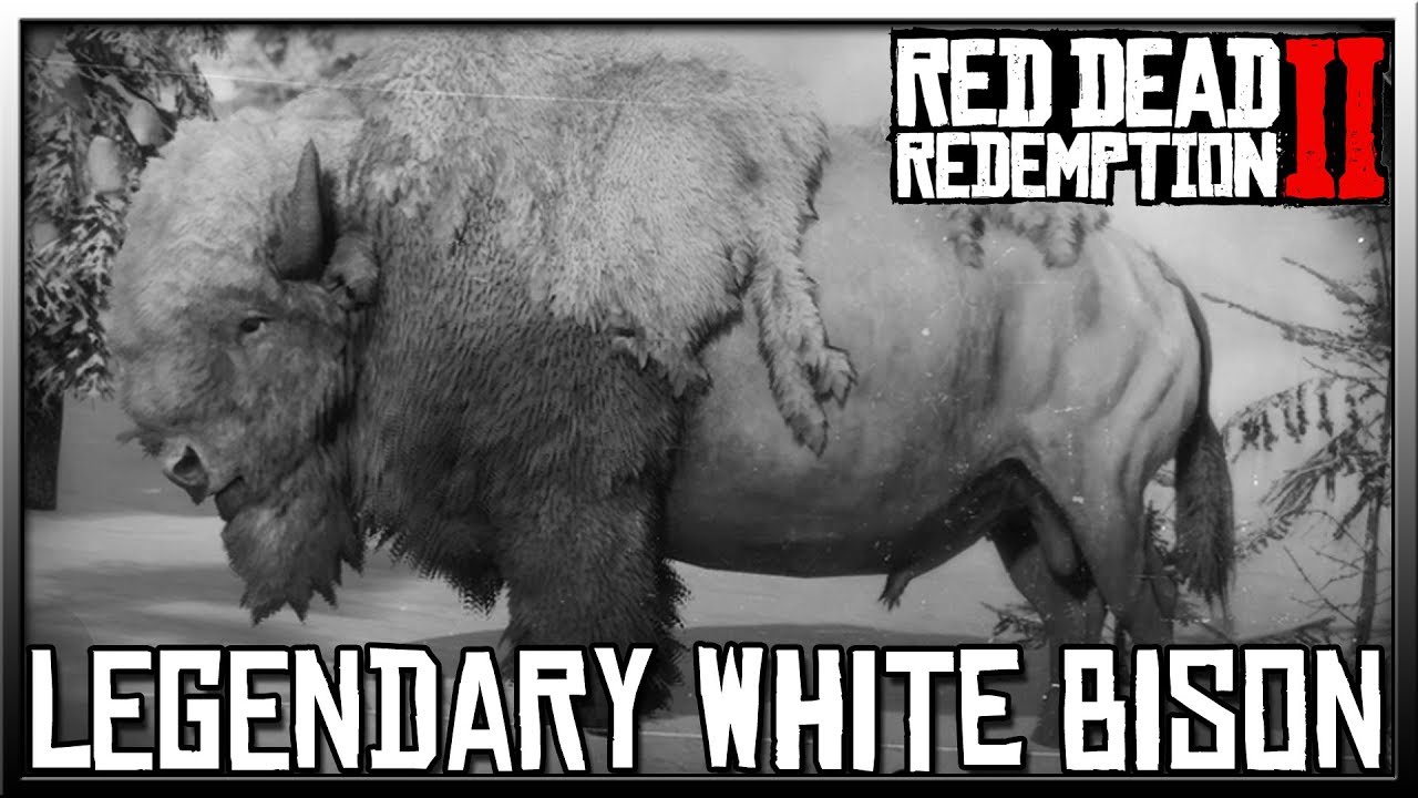 Red Dead Redemption 2 Legendary White Bison w/Location - Red Dead 2 ...