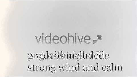 Motion Graphics - Animated Palm Tree | VideoHive